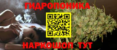 винт Канаш