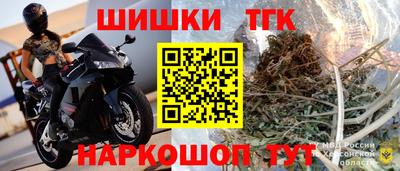 бошки Камышлов