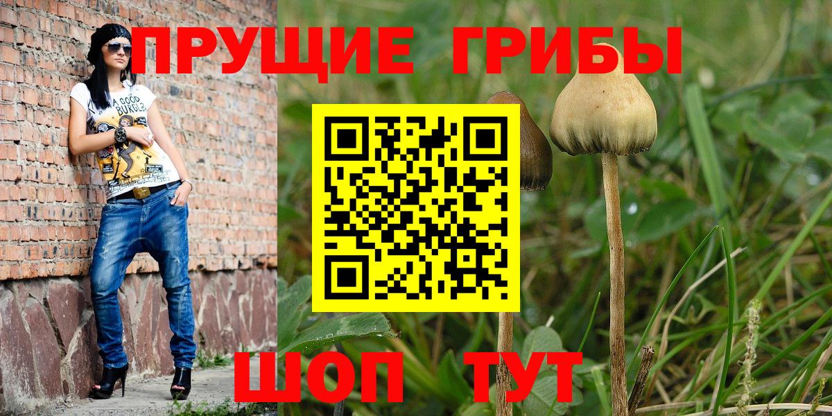 Кстово  Псилоцибиновые грибы ЛСД  наркота  Вход с VPN  Галлюциногенные грибы мицелий 