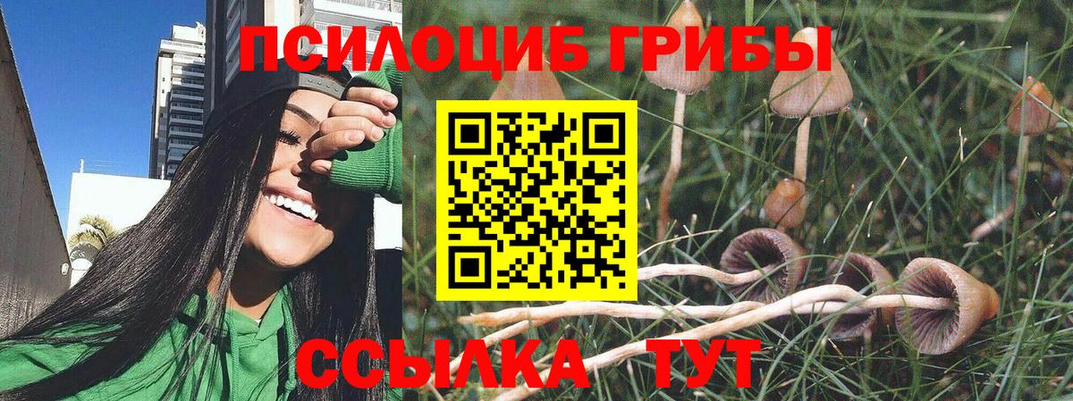 Галлюциногенные грибы мицелий Кстово